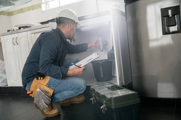 Best Water Softener Installation  in Lake Magdalene, FL