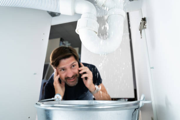 Best Residential Plumbing Services  in Lake Magdalene, FL