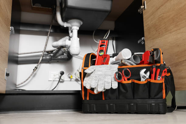 Best Affordable Plumbing Services  in Lake Magdalene, FL