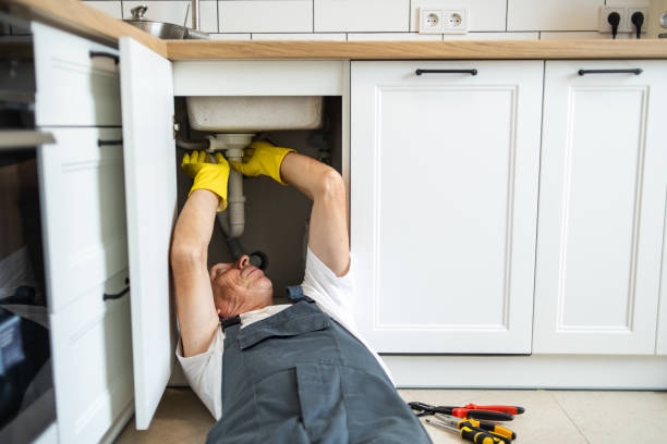 Best Drain Cleaning Services  in Lake Magdalene, FL